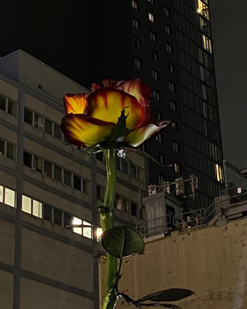 Building a Capsule&nbsp;Wardrobe